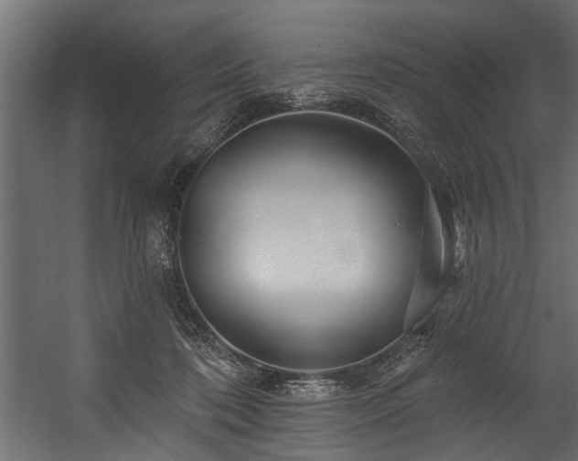 X0000054460316200508011508