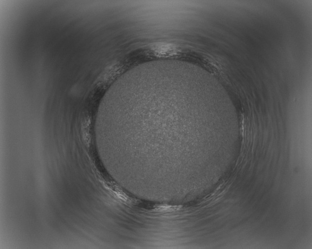 X0000054460319200508011508