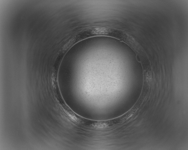 X0000054460322200508011508