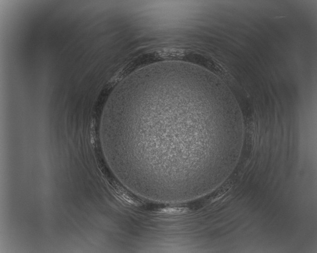 X0000054460323200508011508