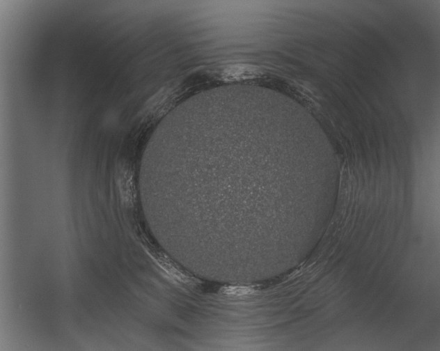 X0000054460327200508011508