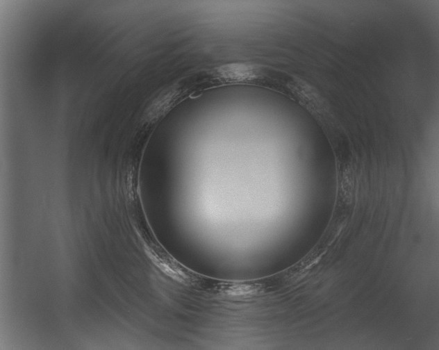 X0000054460330200508011508