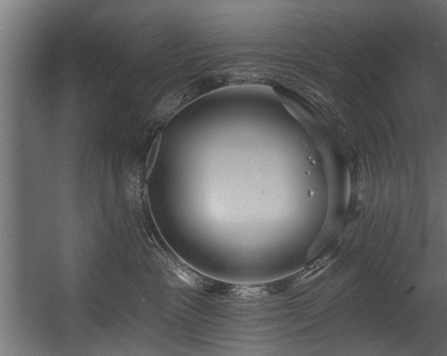 X0000054460333200508011508