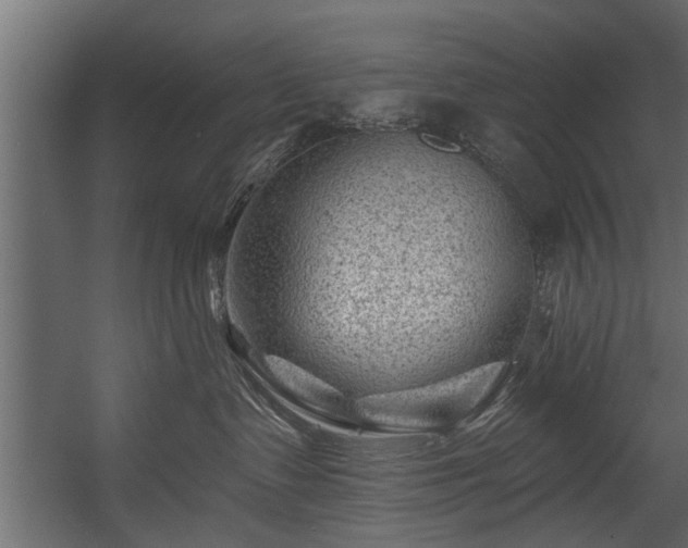 X0000054460335200508011508