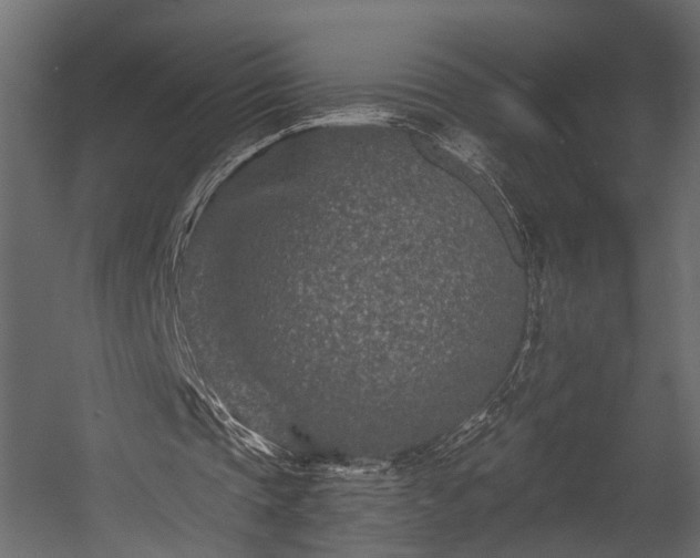 X0000054460337200508011507