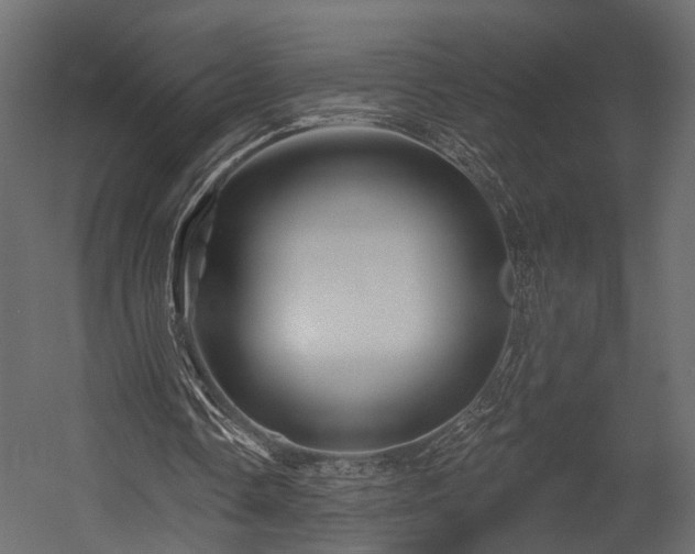 X0000054460338200508011507