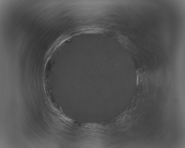 X0000054460339200508011507