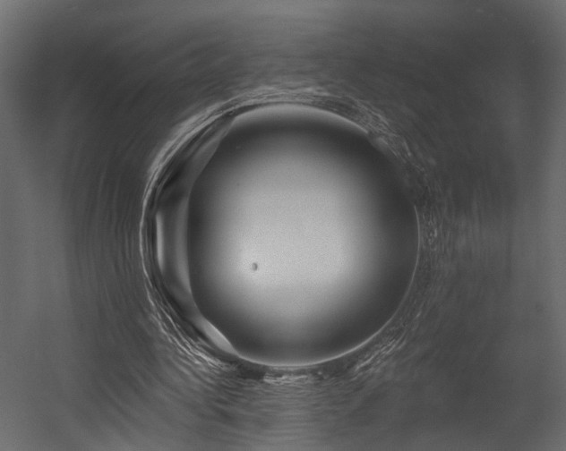 X0000054460340200508011507