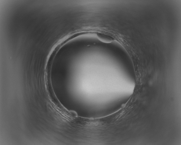 X0000054460342200508011507