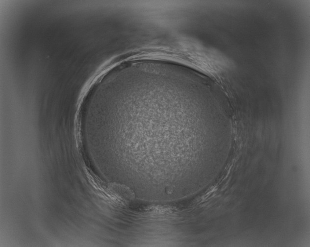 X0000054460343200508011507