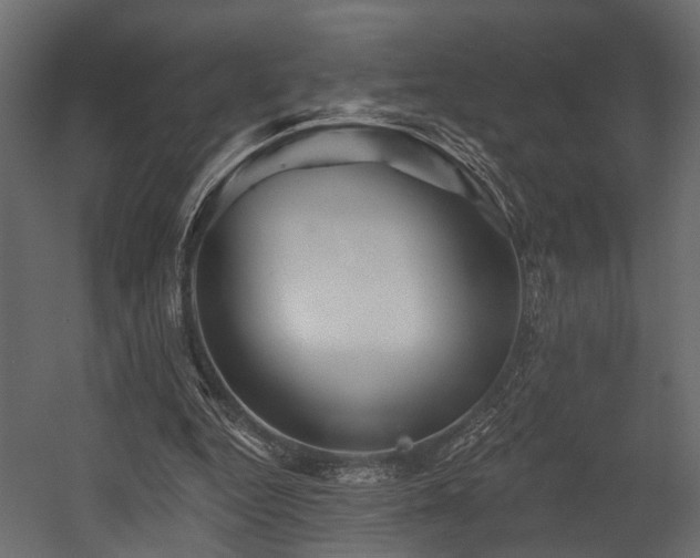 X0000054460344200508011507