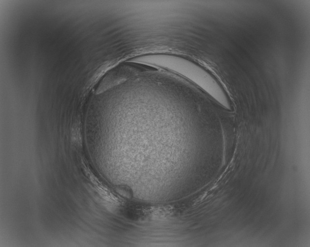 X0000054460345200508011507