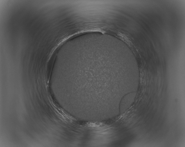 X0000054460346200508011507