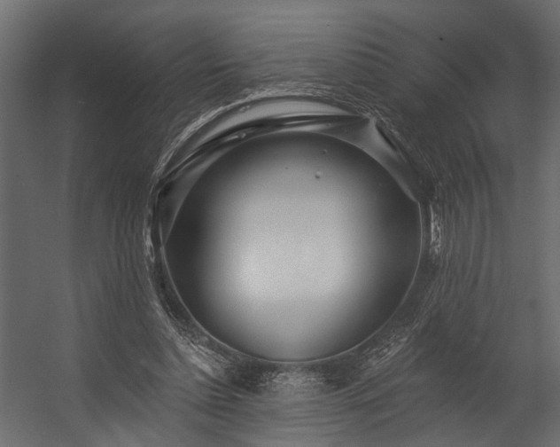 X0000054460348200508011507