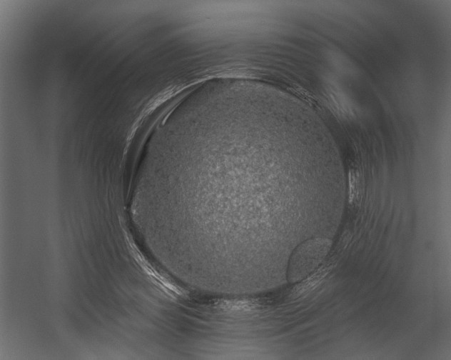 X0000054460349200508011507