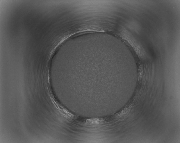 X0000054460351200508011507