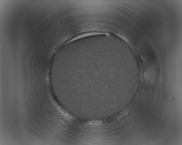 X0000054460353200508011507