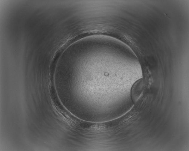 X0000054460354200508011507