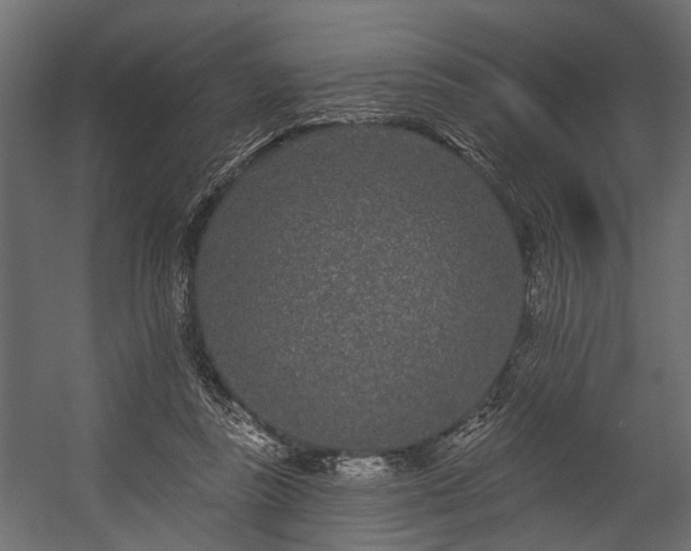 X0000054460355200508011507