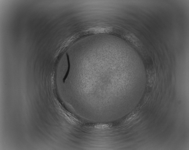 X0000054460357200508011507