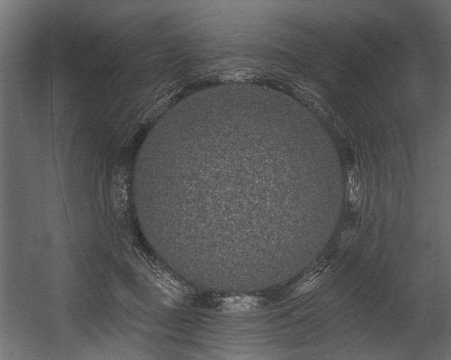 X0000054460363200508011508