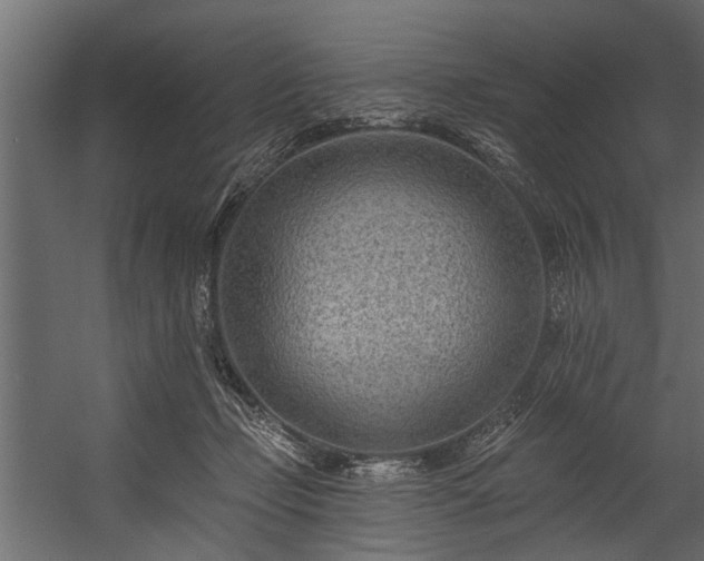 X0000054460365200508011508