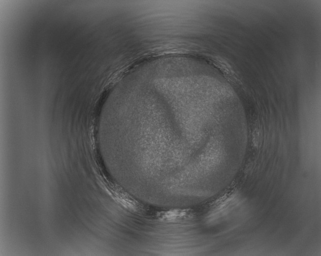 X0000054460366200508011508