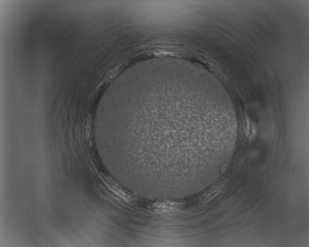 X0000054460367200508011508