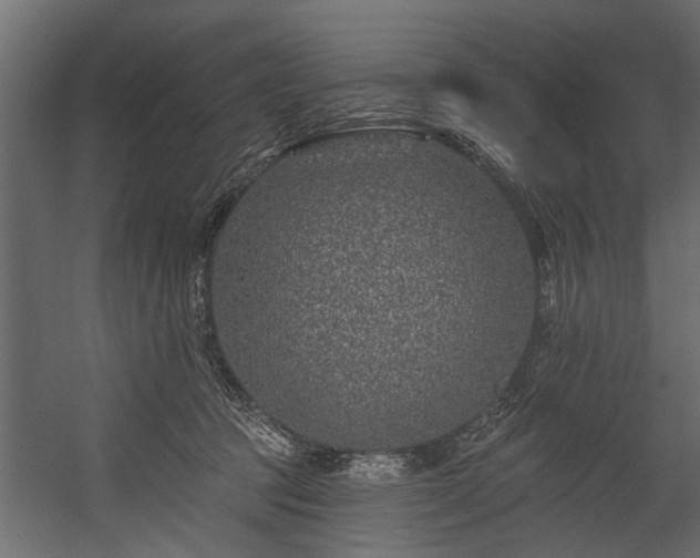 X0000054460369200508011508