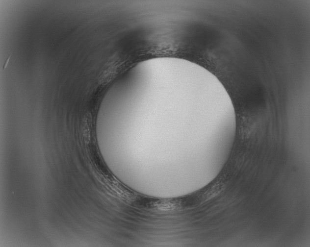 X0000054460370200508011508