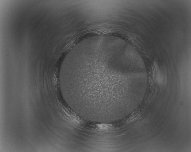 X0000054460371200508011508