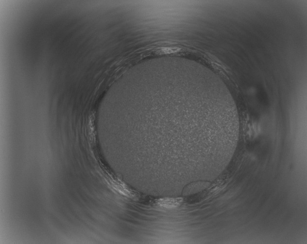 X0000054460373200508011508