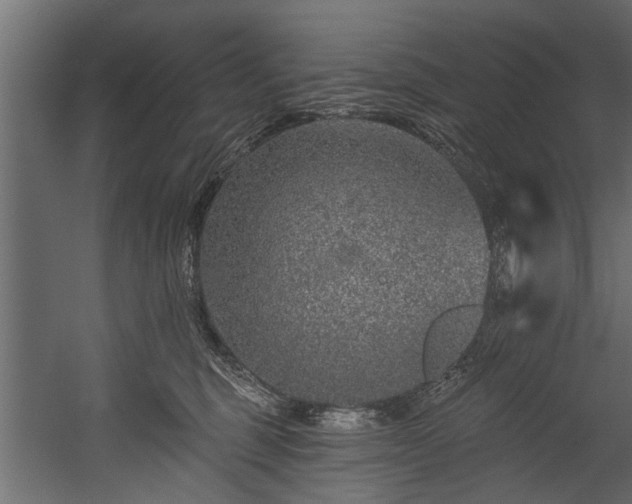 X0000054460375200508011508