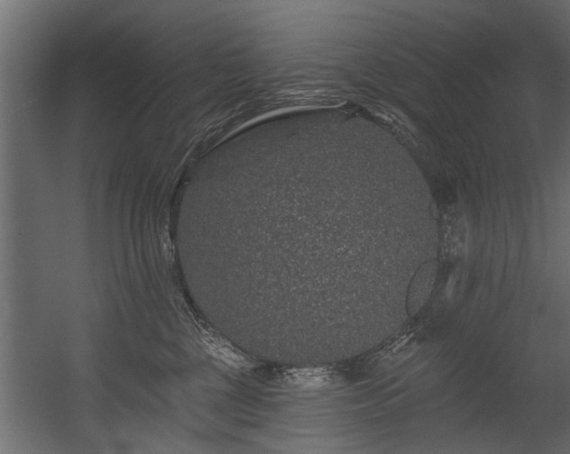 X0000054460377200508011508