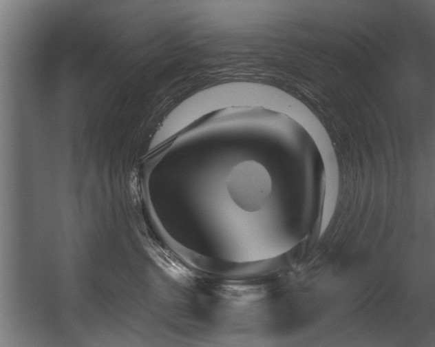 X0000054460380200508011508