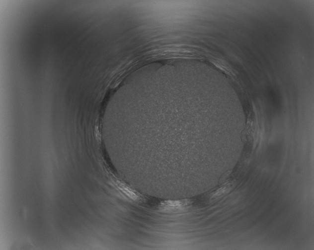 X0000054460381200508011508