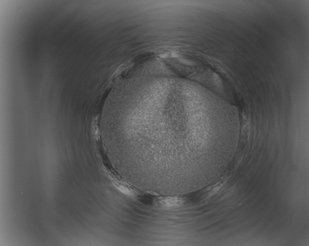 X0000054460383200508011508