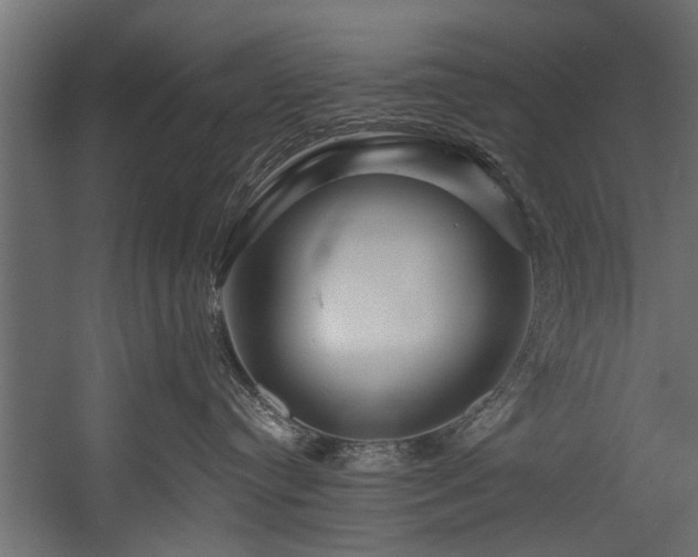 X0000054460384200508011508