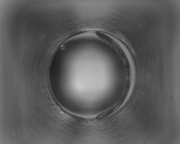 X0000054460385200508011507