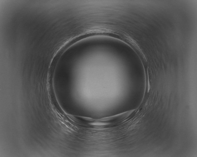 X0000054460387200508011507