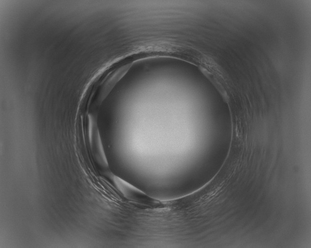 X0000054460388200508011507