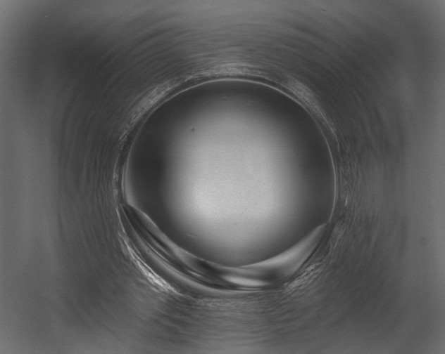 X0000054460389200508011507