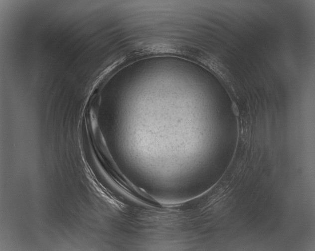 X0000054460390200508011507