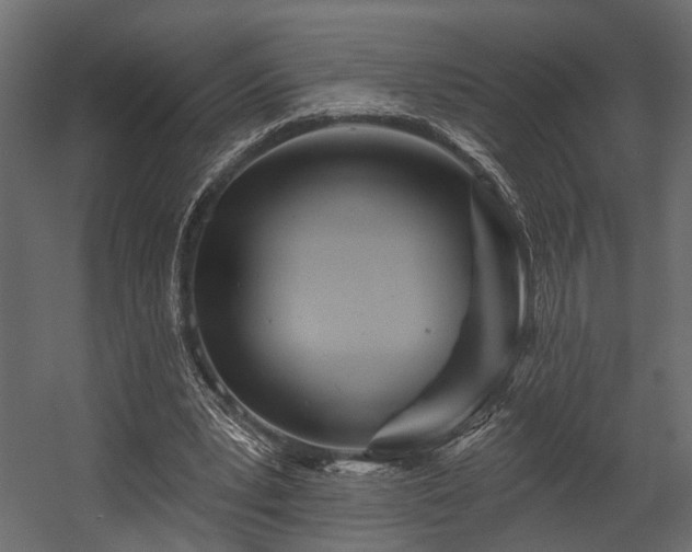 X0000054460391200508011507