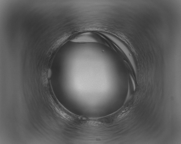 X0000054460393200508011507