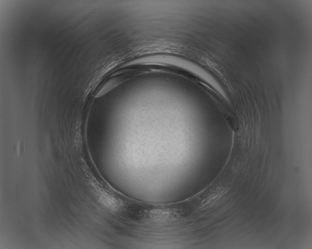 X0000054460394200508011507