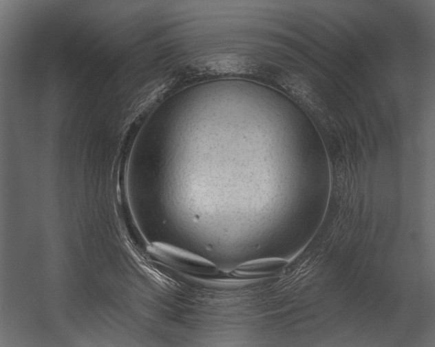 X0000054460398200508011507