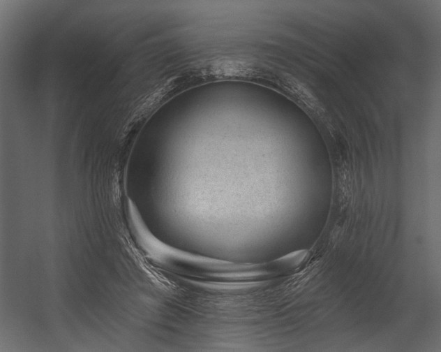 X0000054460401200508011507