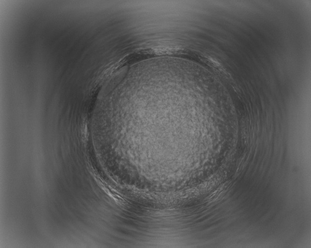 X0000054460405200508011507