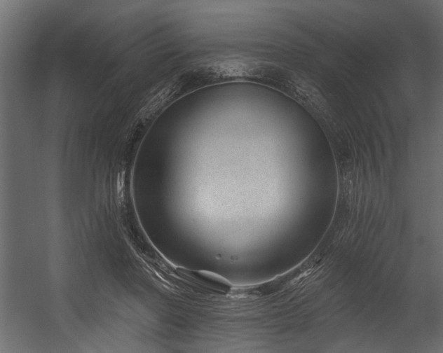 X0000054460406200508011507